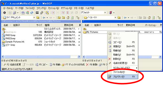 winscp ミラー 販売 同期 自動ダウンロード